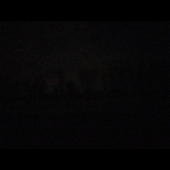 Meet your Posher, Maya - Picture 1 of 1